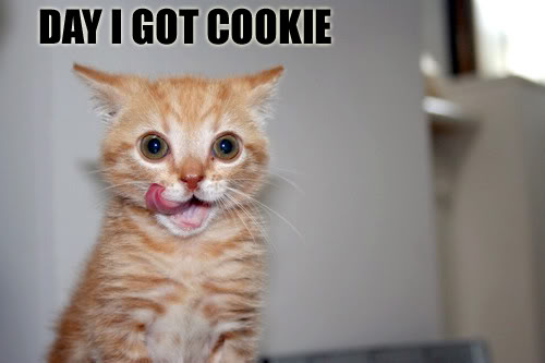 day_i_got_cookie.jpg
