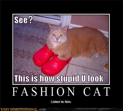 demotivational-posters-fashion-cat.jpg