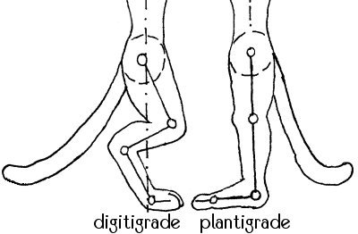 digiplant.gif