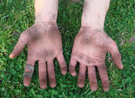 dirty-working-hands-green-grass.jpg