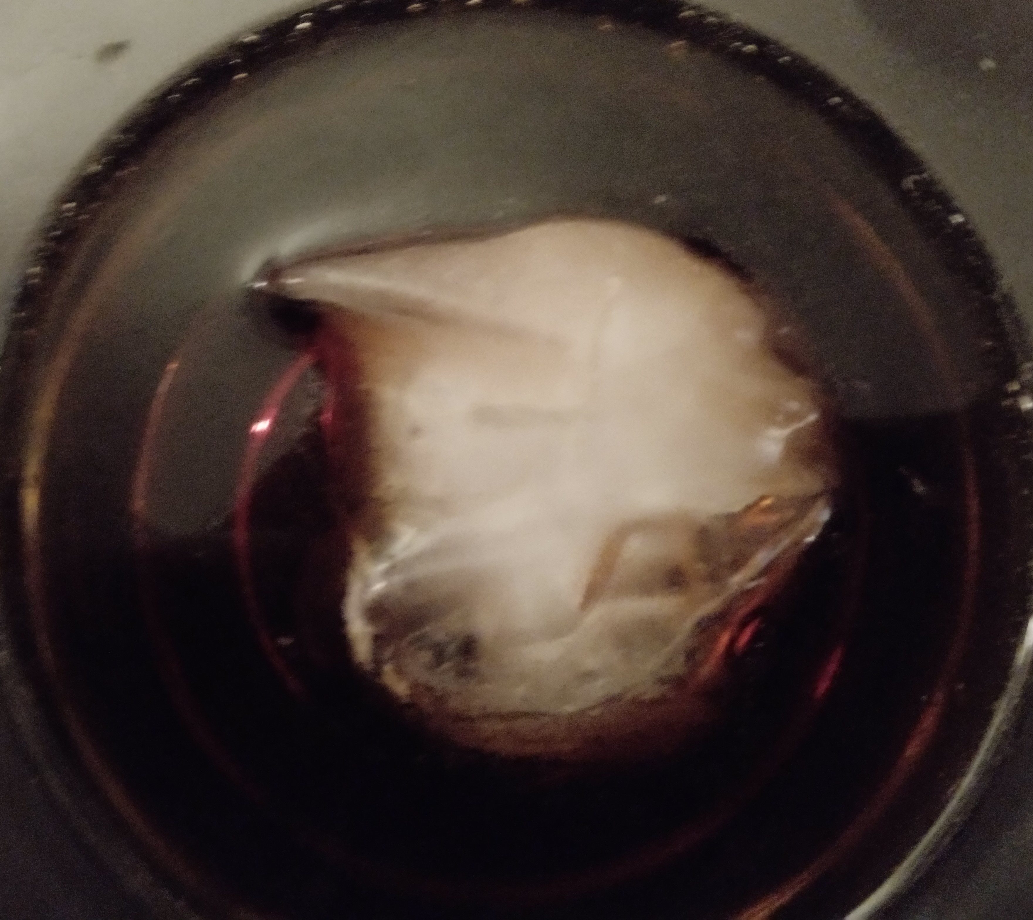 drink.jpg
