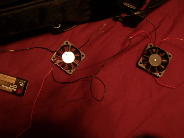 DSC00170.jpg