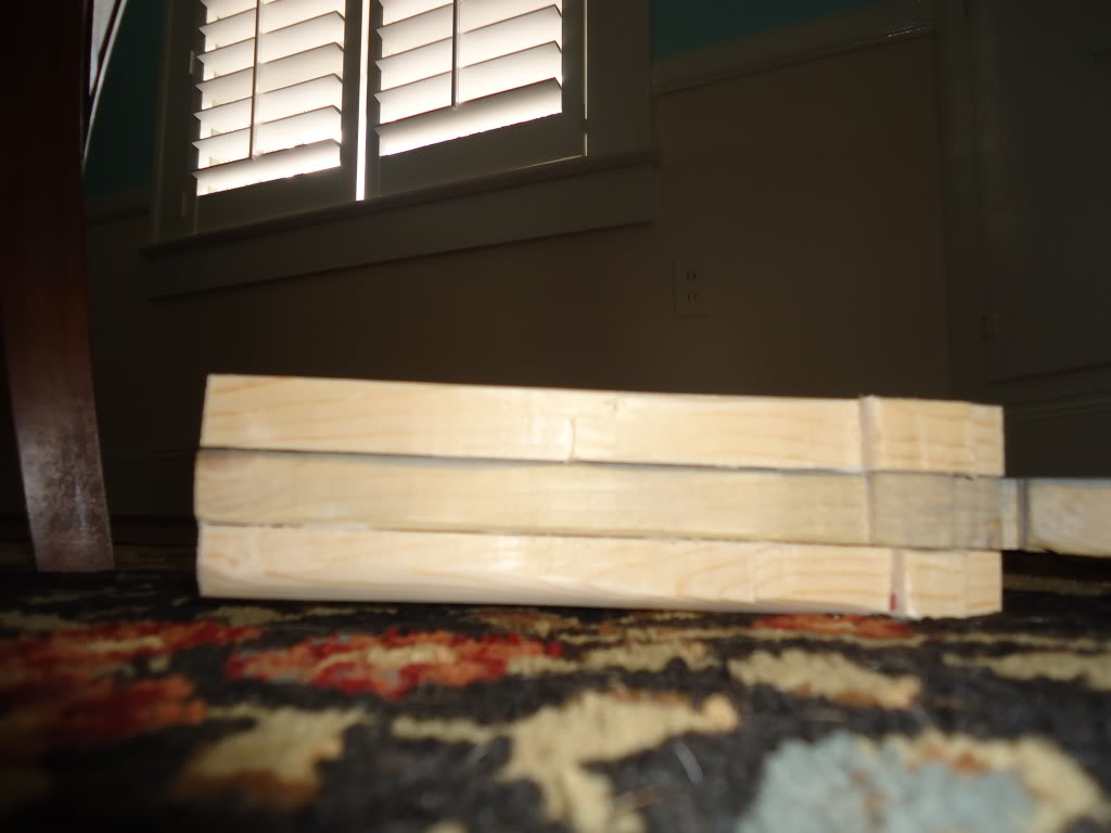 DSC00185.jpg
