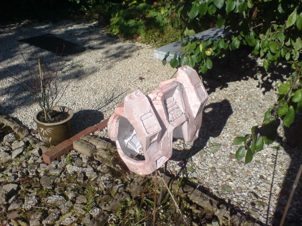 DSC00425.jpg