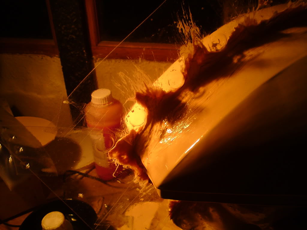 DSC00492.jpg