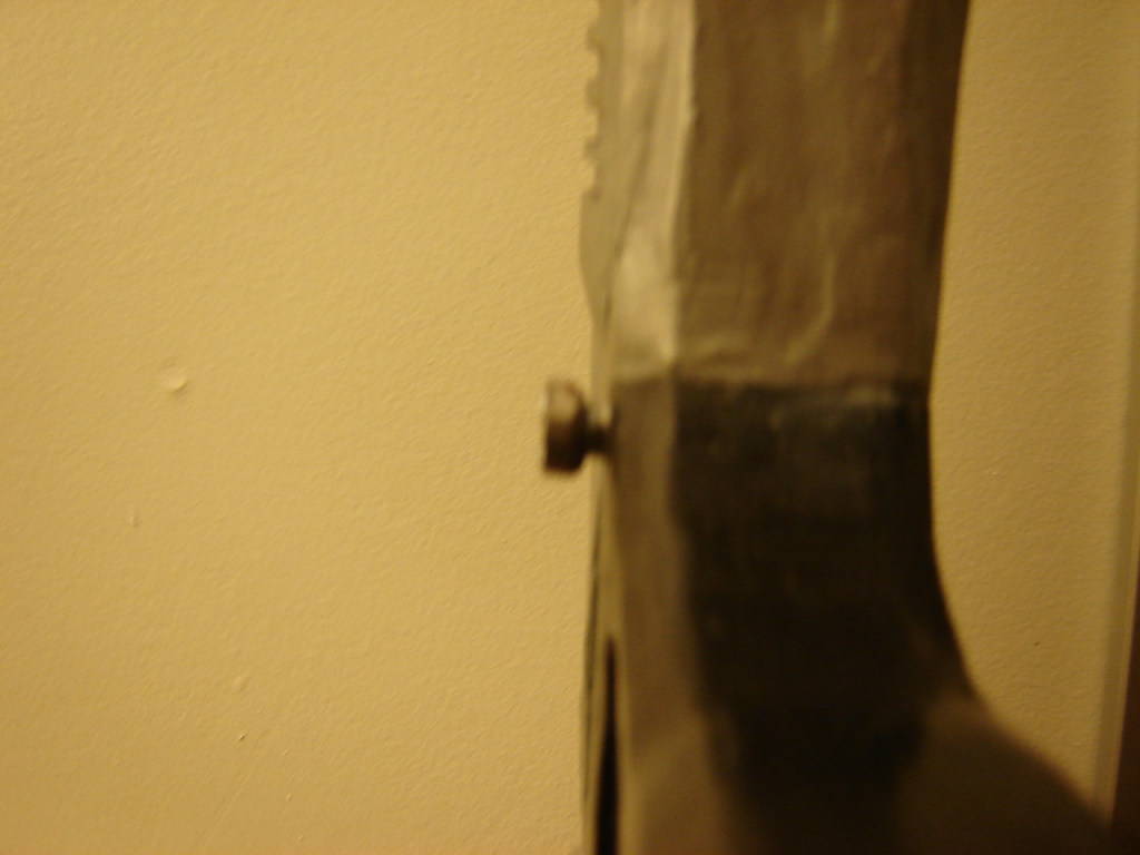DSC00727.jpg