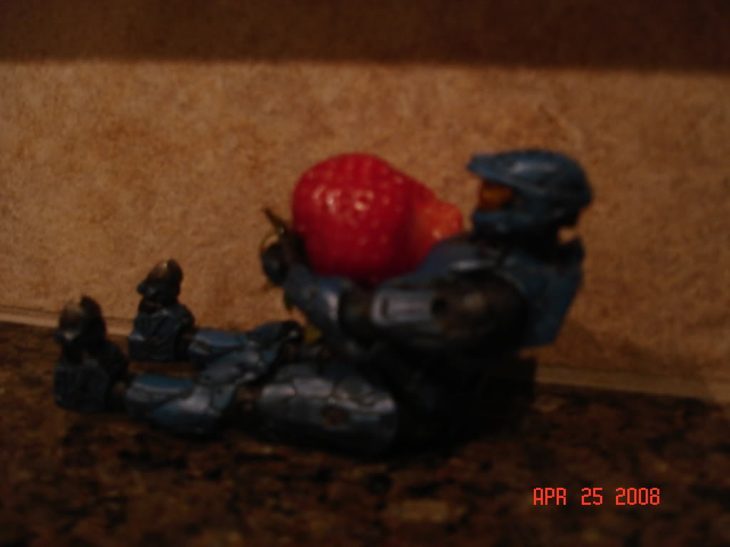 DSC01831.jpg