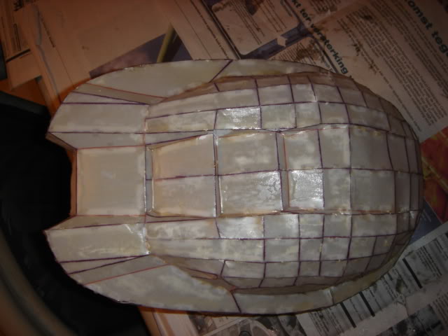 DSC02079.jpg