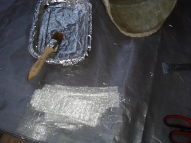 DSC02343.jpg