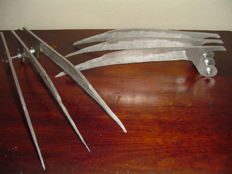 DSC07570.jpg