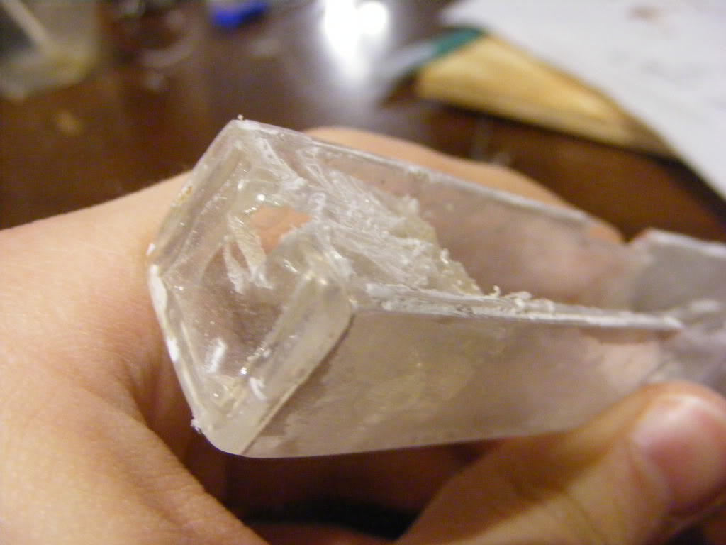 DSCF1238.jpg