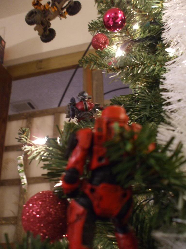 DSCF2313.jpg