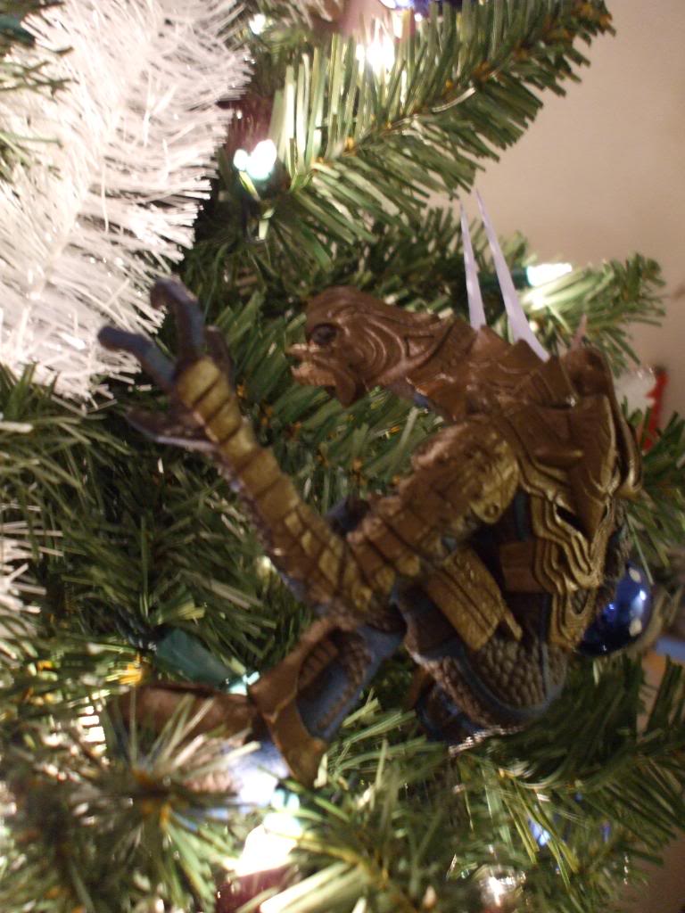 DSCF2316.jpg