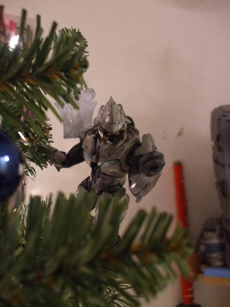 DSCF2317.jpg