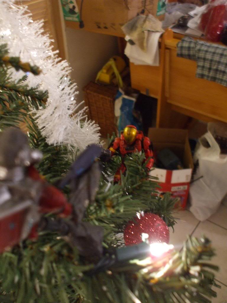 DSCF2323.jpg