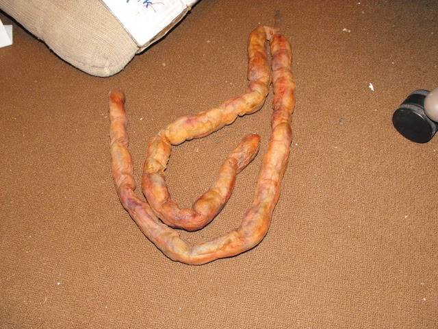 DSCF6019.jpg