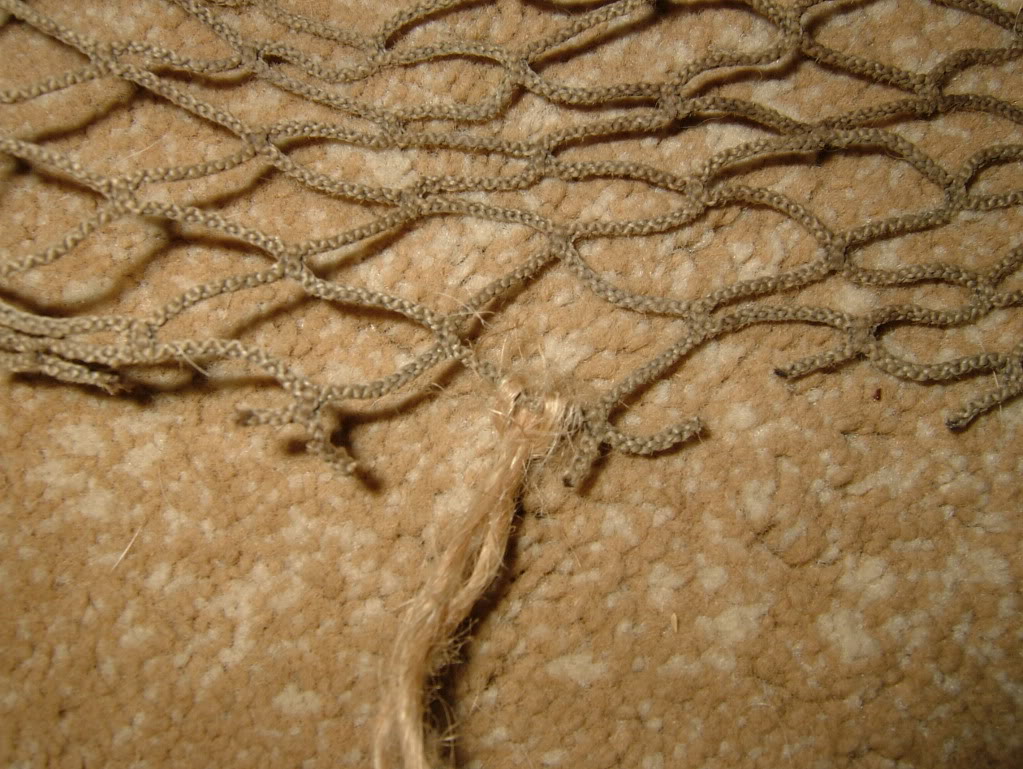 DSCF7169.jpg