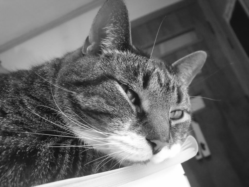 DSCF9978.jpg