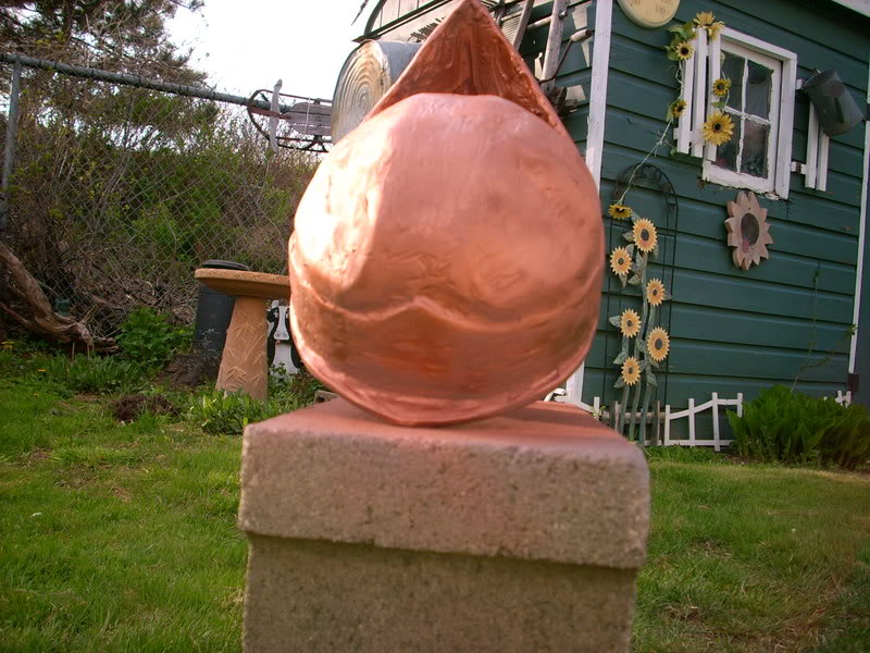 DSCI0064.jpg