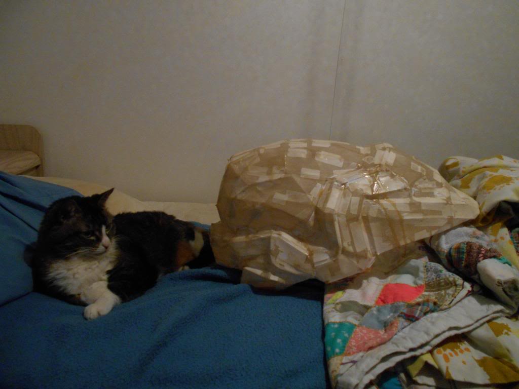 DSCN0031_zps5fd1fd9f.jpg