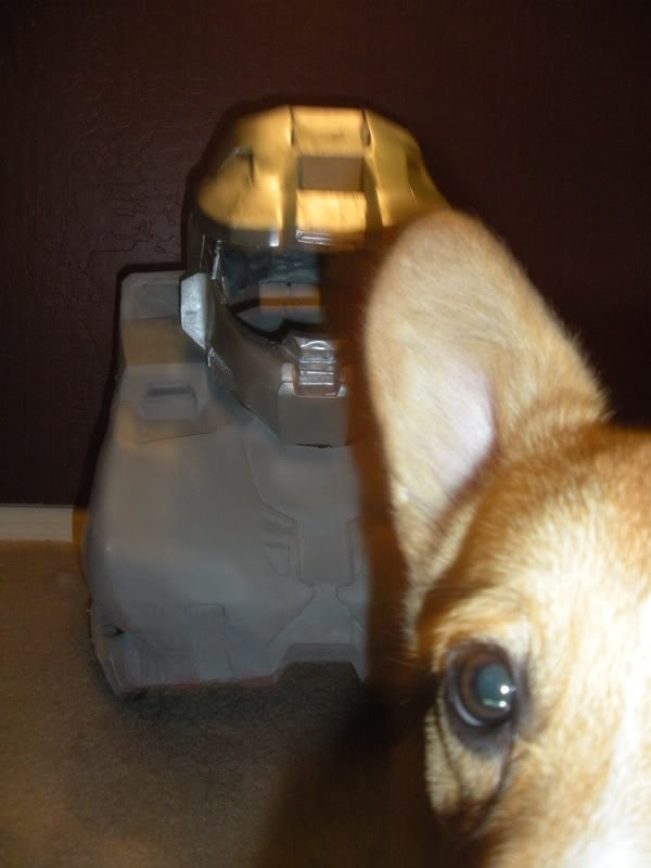 DSCN1268.jpg