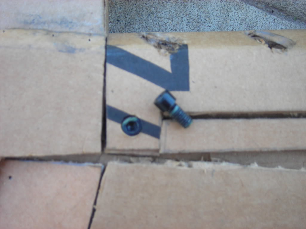 DSCN1528.jpg
