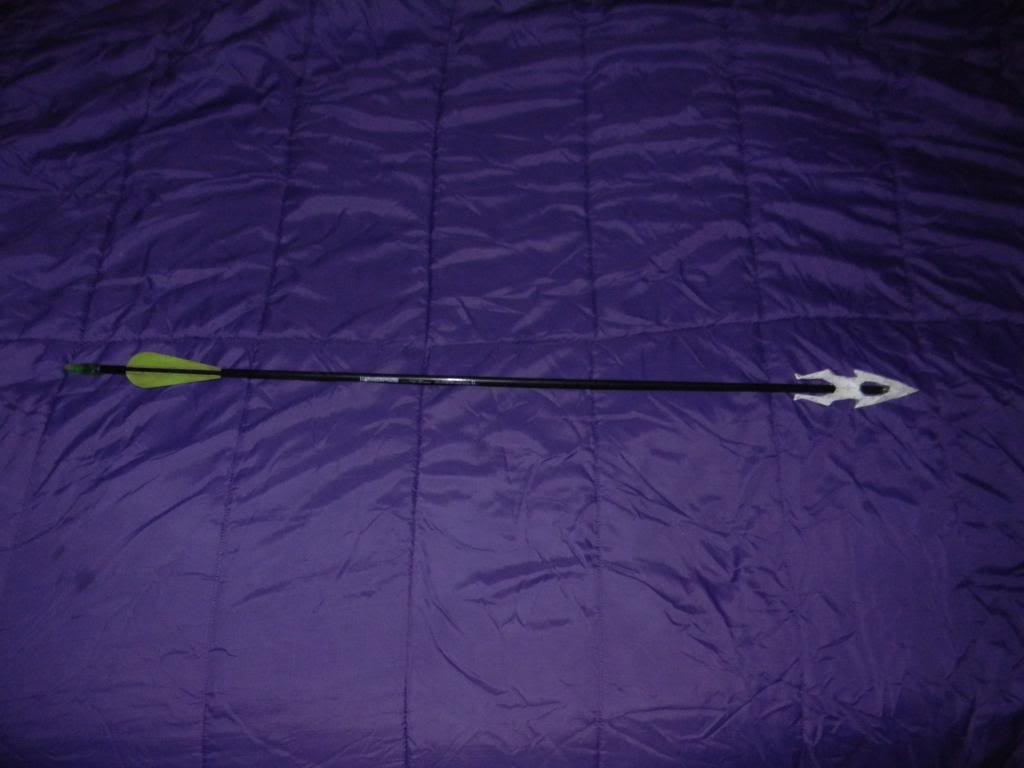 DSCN3408.jpg