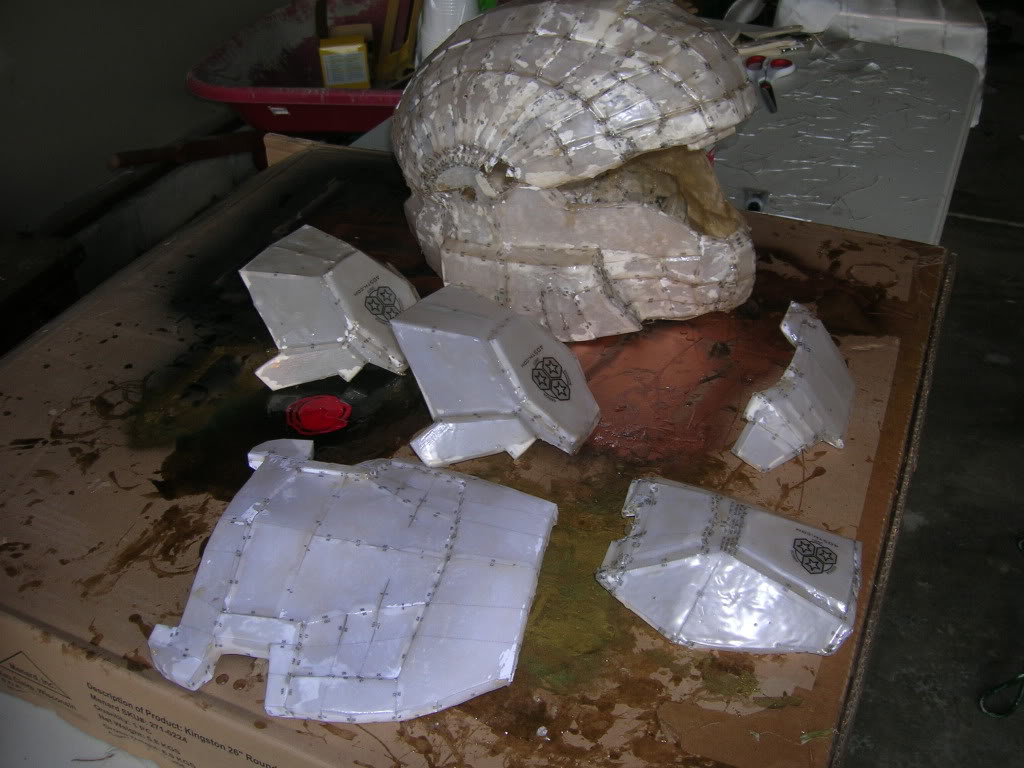 DSCN3863.jpg