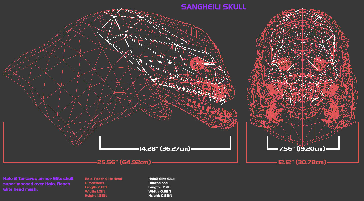 EliteSkullMeasurement_SLoftus.jpg