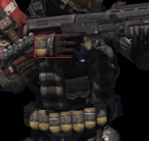 Emilenadezoom.jpg