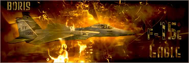 f-15_eagle_sig.jpg