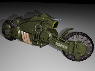 ferret_01.jpg