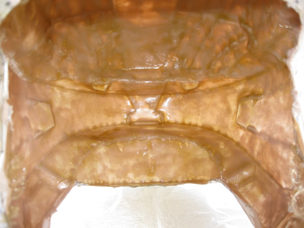 fiberglassback.jpg