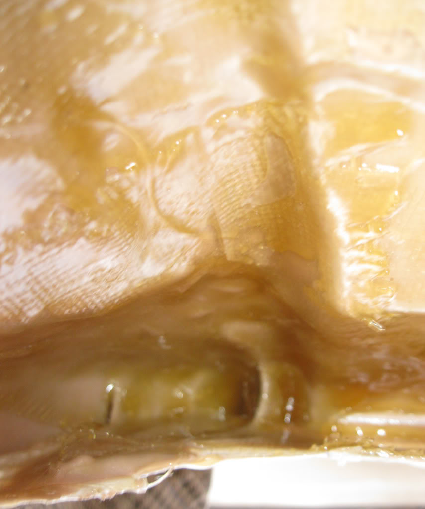 fiberglassinsidebrimleft.jpg