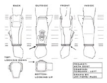 ForearmFinalLeftchangessmall.jpg