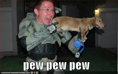 funny-pictures-halo-dog-pew.jpg