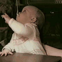 giphy (18).gif