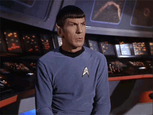 giphy (29).gif