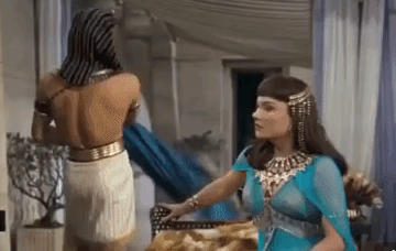 giphy (31).gif