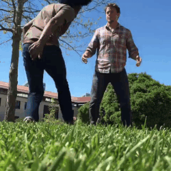 giphy-downsized.gif