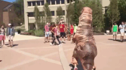 giphy-downsized.gif
