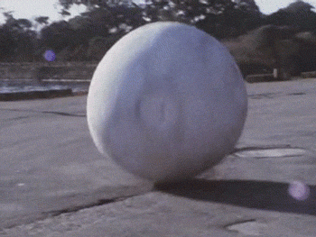 giphy.gif