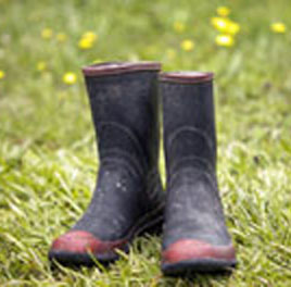 gumboots.jpg