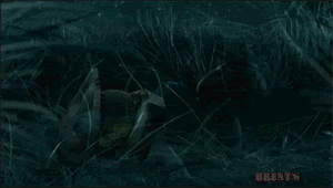 Halo-3.gif