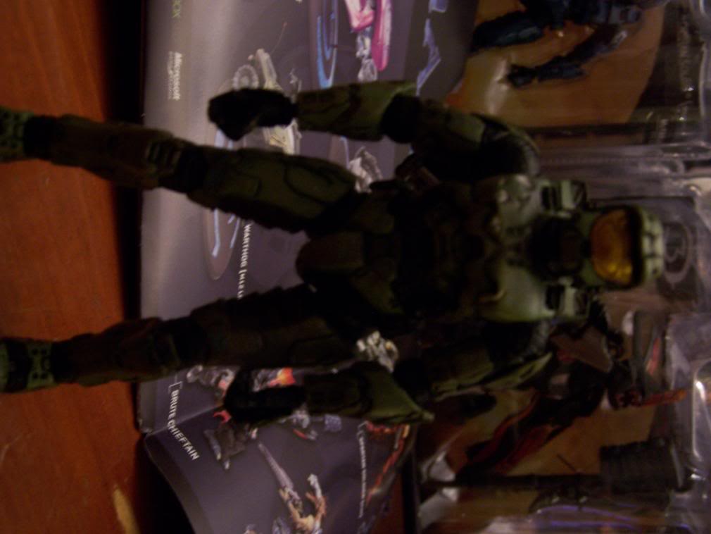 halo3035.jpg