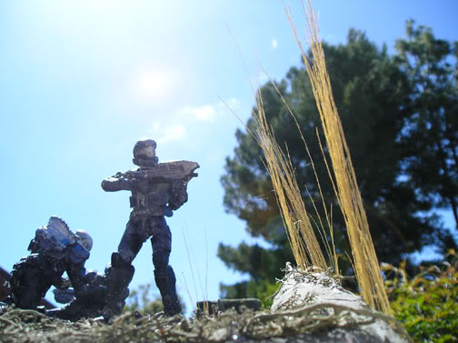 halo5.jpg