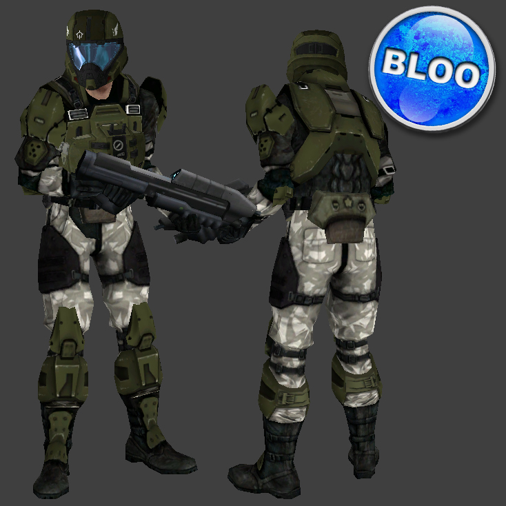 So, essentially, if you build a Halo 3 marine pilot, this is what you'...
