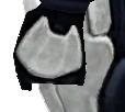 handplatereference.jpg