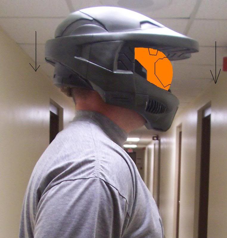 helmetproportions2.jpg