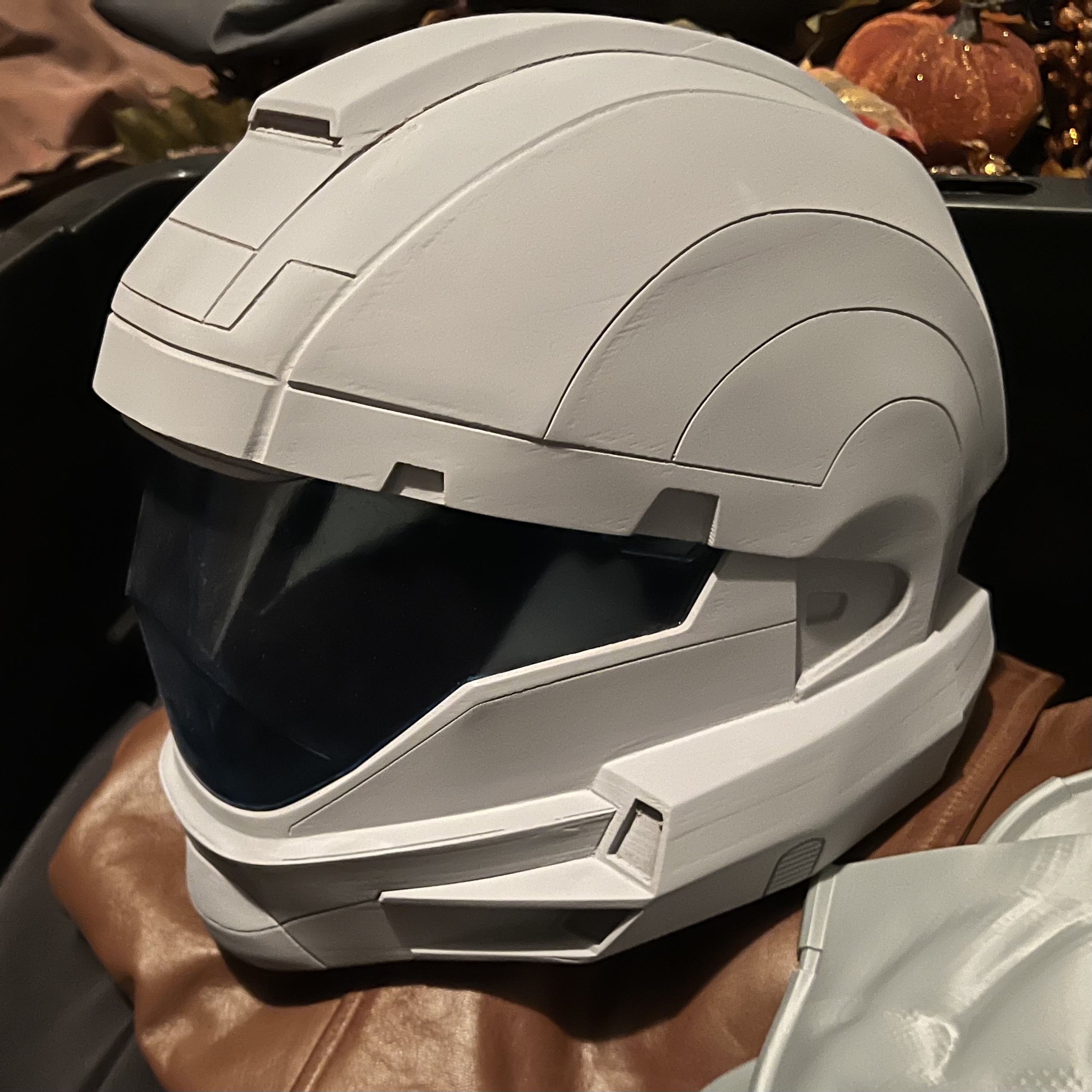 helmetwithvisor.jpg